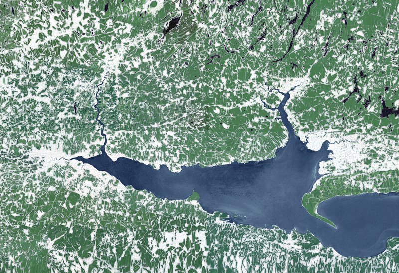 Alex Fischer, Mouth, 2012-10-09